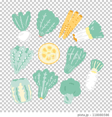 冬野菜　食材　イラストセット 118080386