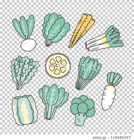冬野菜　食材　イラストセット 118080387