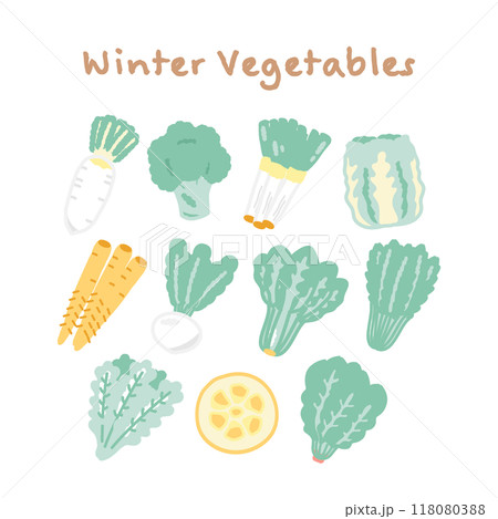 冬野菜 食材 イラストセット 冬野菜 食材 イラストセット 118080388