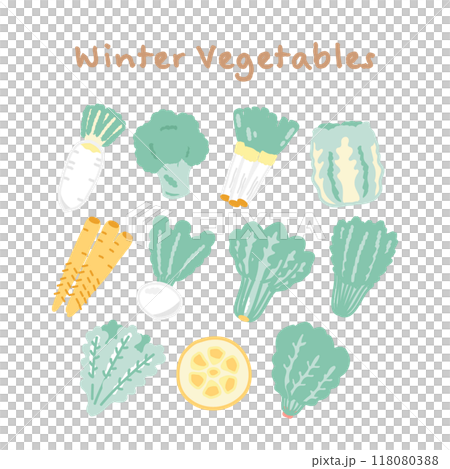 冬野菜 食材 イラストセット 冬野菜 食材 イラストセット 118080388