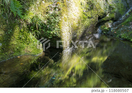 冬の菊池渓谷の水の流れが美しい渓谷美風景 118080507
