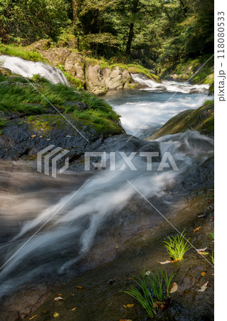 冬の菊池渓谷の水の流れが美しい渓谷美風景 118080533
