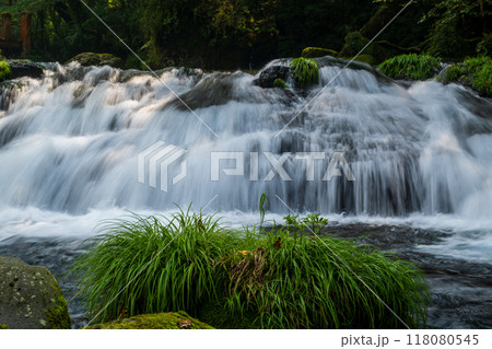 冬の菊池渓谷の水の流れが美しい渓谷美風景 118080545
