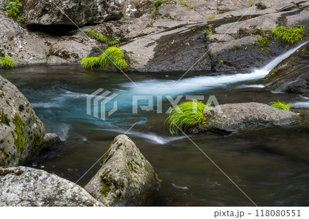 冬の菊池渓谷の水の流れが美しい渓谷美風景 冬の菊池渓谷の水の流れが美しい渓谷美風景 118080551