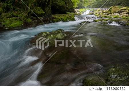 冬の菊池渓谷の水の流れが美しい渓谷美風景 冬の菊池渓谷の水の流れが美しい渓谷美風景 118080582