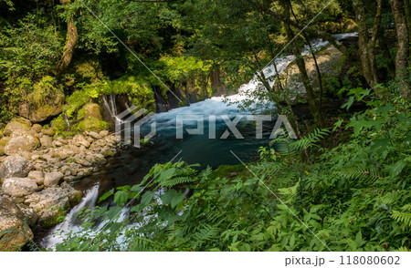冬の菊池渓谷の水の流れが美しい渓谷美風景 冬の菊池渓谷の水の流れが美しい渓谷美風景 118080602