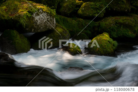 冬の菊池渓谷の水の流れが美しい渓谷美風景 冬の菊池渓谷の水の流れが美しい渓谷美風景 118080678