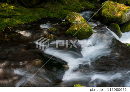 冬の菊池渓谷の水の流れが美しい渓谷美風景 冬の菊池渓谷の水の流れが美しい渓谷美風景 118080681