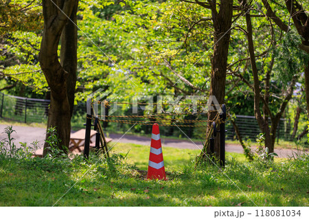 緑に包まれた公園の安全表示 緑に包まれた公園の安全表示 118081034