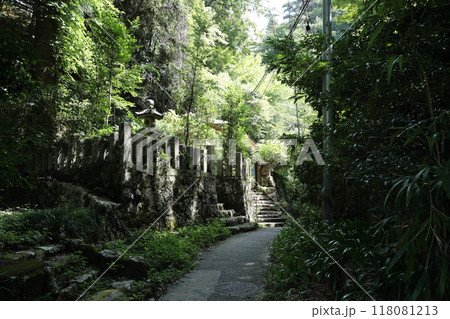 有馬温泉癒しの森 〈鼓ヶ滝公園〉 【六甲有馬ロープウェイ有馬温泉駅から】／ 神戸市北区有馬町 118081213