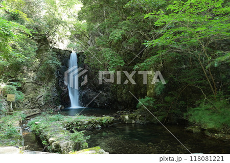有馬温泉癒しの森 〈鼓ヶ滝公園〉 【六甲有馬ロープウェイ有馬温泉駅から】/ 神戸市北区有馬町 有馬温泉癒しの森 〈鼓ヶ滝公園〉 【六甲有馬ロープウェイ有馬温泉駅から】/ 神戸市北区有馬町 118081221