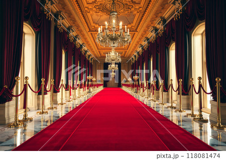 豪華な宮殿の廊下 豪華な宮殿の廊下 118081474