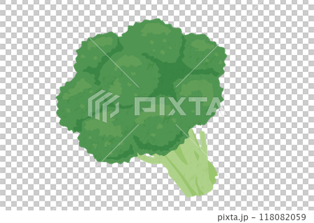 綠花椰菜手繪風格插畫 118082059