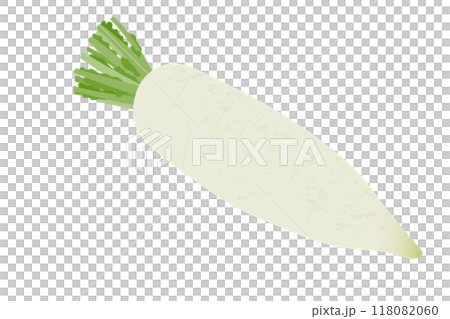 蘿蔔手繪風格插畫 118082060