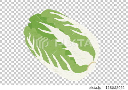 大白菜手繪風格插畫 118082061