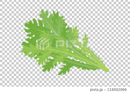 Hand-drawn illustration of chrysanthemum Hand-drawn illustration of chrysanthemum 118082066