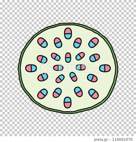 茎のつくり・茎の断面・単子葉類 茎のつくり・茎の断面・単子葉類 118082070