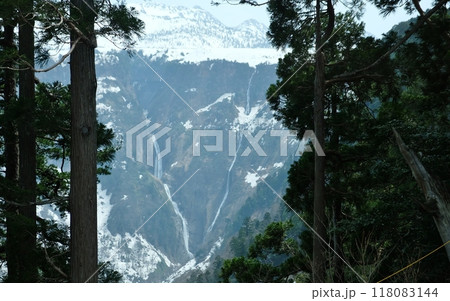 残雪の崖を下り落ちる称名滝、ハンノキ滝がV字型を形成 118083144