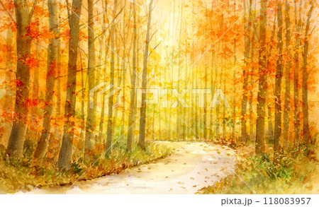 秋の森の水彩画 秋の森の水彩画 118083957