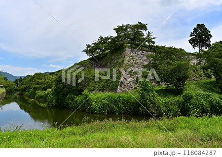 新緑の篠山城跡 新緑の篠山城跡 118084287
