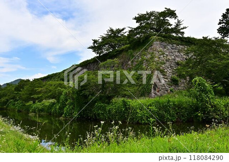 新緑の篠山城跡 新緑の篠山城跡 118084290
