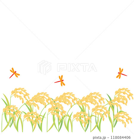 実った稲・稲穂と赤とんぼのイラスト アスペクト比1:1バージョン 実った稲・稲穂と赤とんぼのイラスト アスペクト比1:1バージョン 118084406