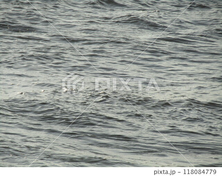 検見川浜の海岸に打ち寄せて引いて行くる波 118084779