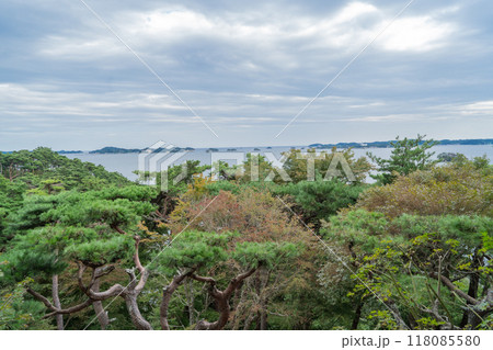 双観山から見た景色(陸前松島) 双観山から見た景色(陸前松島) 118085580