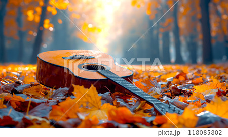 The Acoustic guitar on the garden in autumn season with maple tree and forest background 118085802