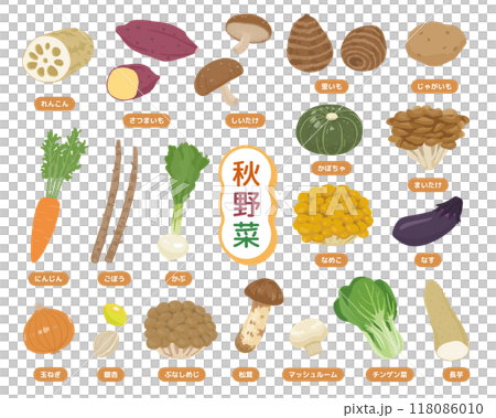 秋季蔬菜插圖集 118086010