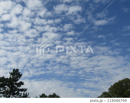 八月のこじま公園からの青空と白い雲 118086799