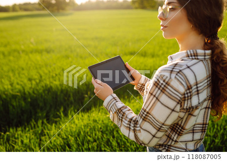 A woman farmer with modern tablet evaluates the shoots with her hand. Farm work with digital tablet. 118087005