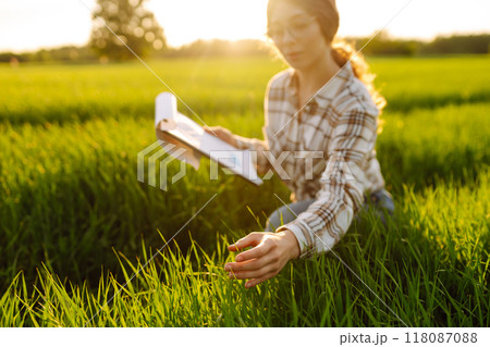 Woman agronomist in a field of milled wheat with tablet checks the growth of crop. Harvest concept. Woman agronomist in a field of milled wheat with tablet checks the growth of crop. Harvest concept. 118087088