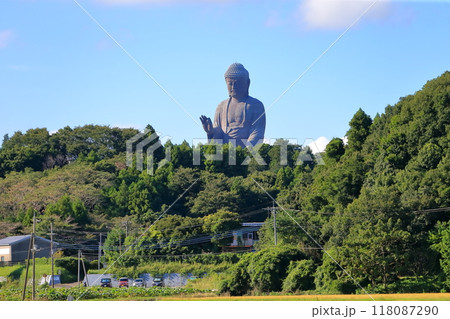 牛久大仏（茨城県牛久市） 118087290