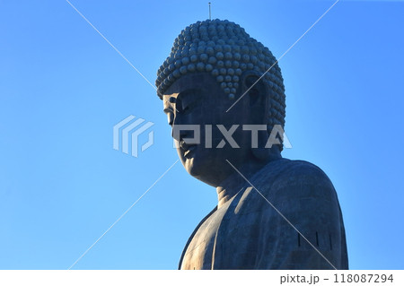 牛久大仏(茨城県牛久市) 牛久大仏(茨城県牛久市) 118087294