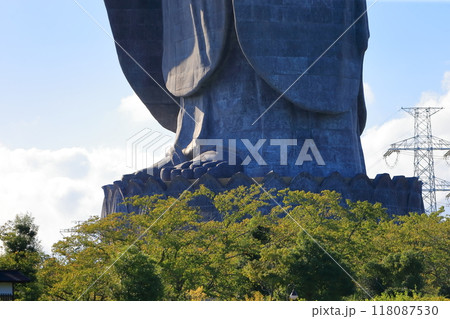 牛久大仏（茨城県牛久市） 118087530