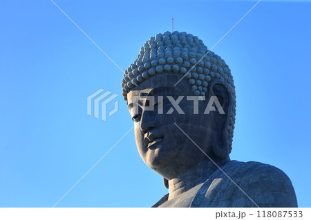 牛久大仏（茨城県牛久市） 118087533