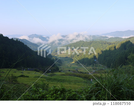 四谷千枚田、夏の朝の風景を空撮 118087550
