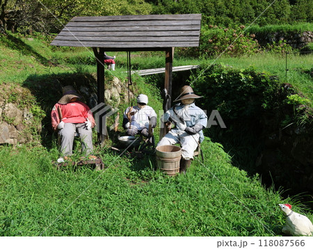 四谷千枚田、夏の朝の風景を空撮 四谷千枚田、夏の朝の風景を空撮 118087566