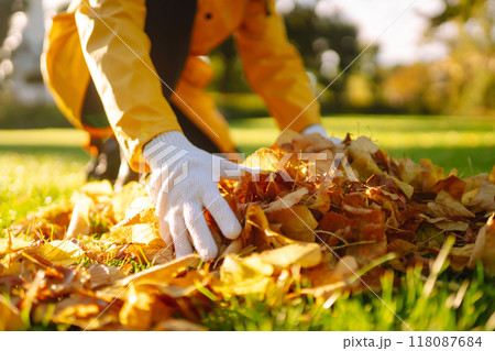 Human cleans the autumn park from yellow leaves. Volunteering, cleaning, and ecology concept. 118087684