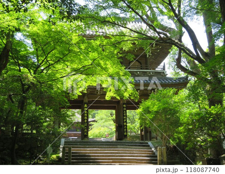 初夏の功山寺　新緑の山門 118087740