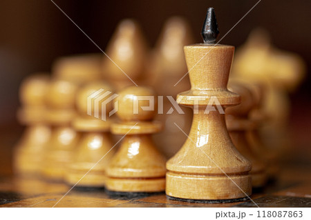 Chess Leader Led King His Army White Wooden Figures. Concept Game. 118087863