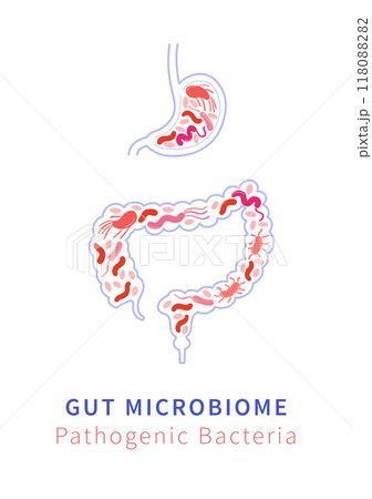Gut Microbiome and Pathogenic bacteria. Pathogen Bacteria and Digestive Health 118088282