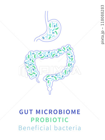 Gut Microbiome and Probiotics. Beneficial Bacteria for Digestive Health Gut Microbiome and Probiotics. Beneficial Bacteria for Digestive Health 118088283