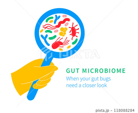 Illustration of Probiotics and Gut Microbiome - Gut Health Support 118088284