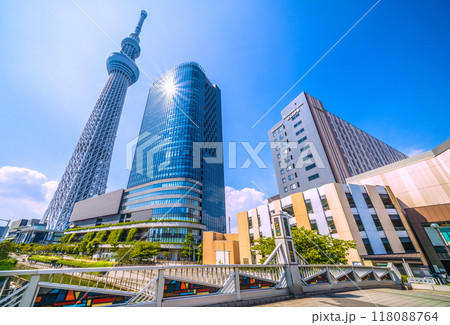 日本の東京都市景観 緑に映える東京スカイツリーなどを望む=9月6日 日本の東京都市景観 緑に映える東京スカイツリーなどを望む=9月6日 118088764