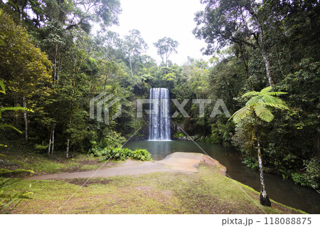 森の中にある滝 118088875