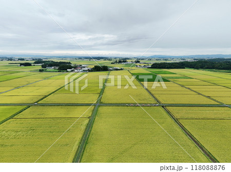 実った田舎の田んぼ　空撮 118088876