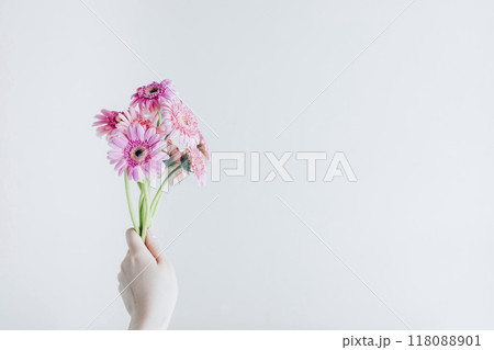 ガーベラの花束を持つ女性の手 ガーベラの花束を持つ女性の手 118088901