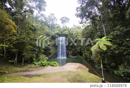 森の中にある滝 118088978